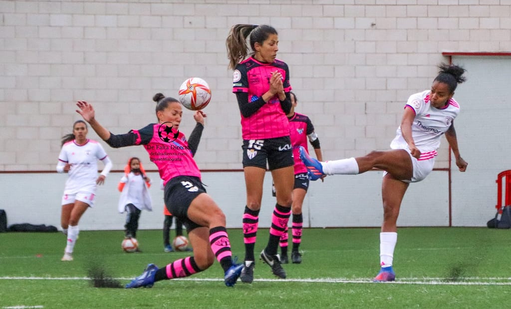 Galería de fotos de