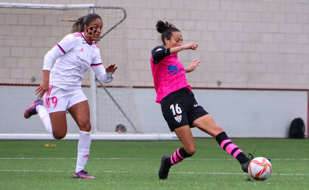 Galería de fotos de