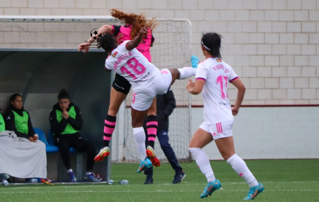 Galería de fotos de