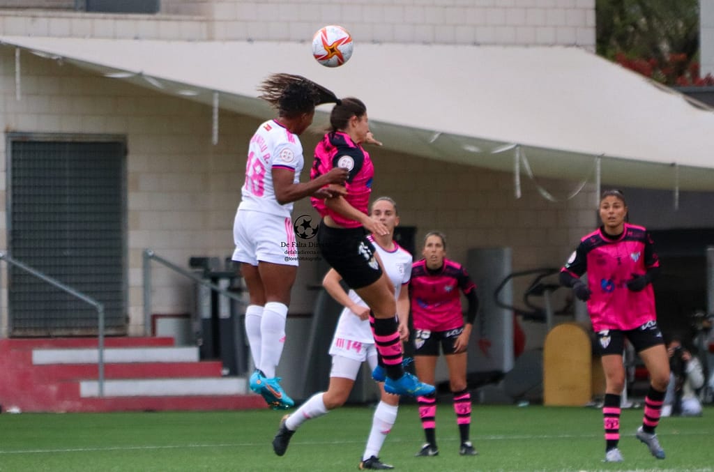 Galería de fotos de