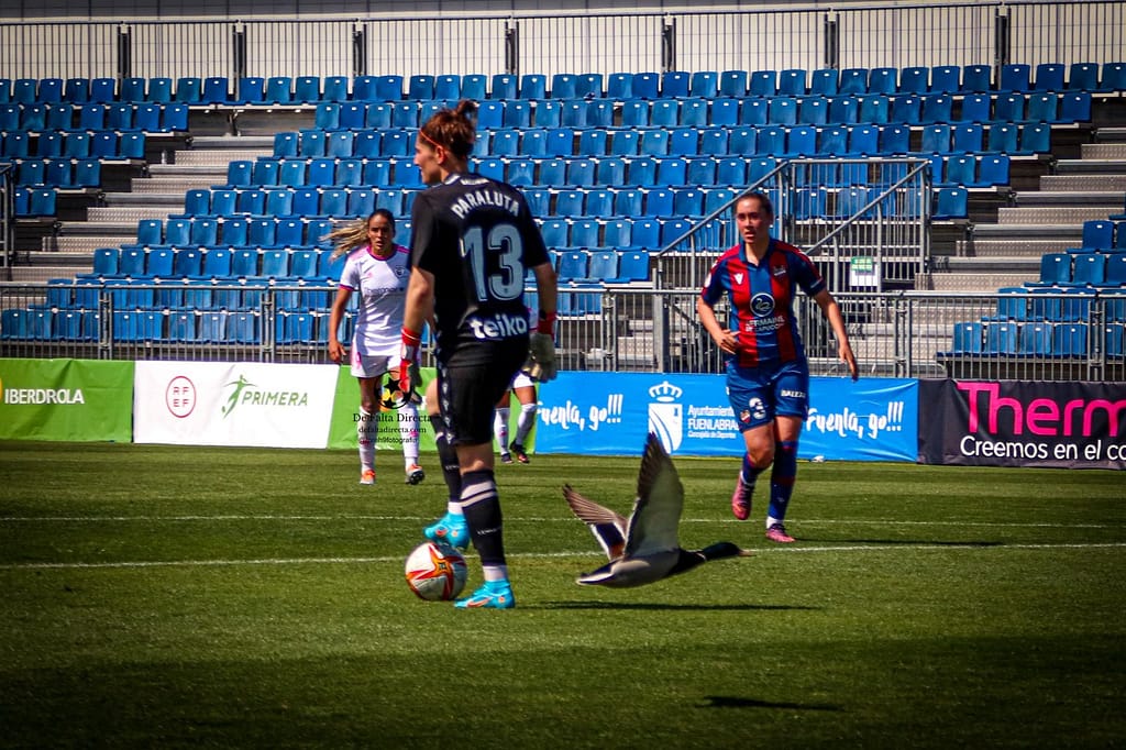 FOTOS MADRID CFF - LEVANTE UD