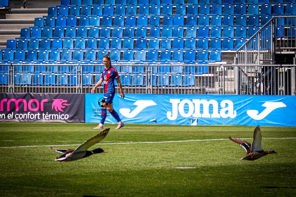 FOTOS MADRID CFF - LEVANTE UD